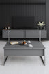 Antracit - Argintiu | SKU: 618BLY1250 | Comodă TV Luxe, 180x30x50 cm, varianta Antracit - Argintiu, produs pentru amenajarea locuinței, disponibil online în România la CasaMob