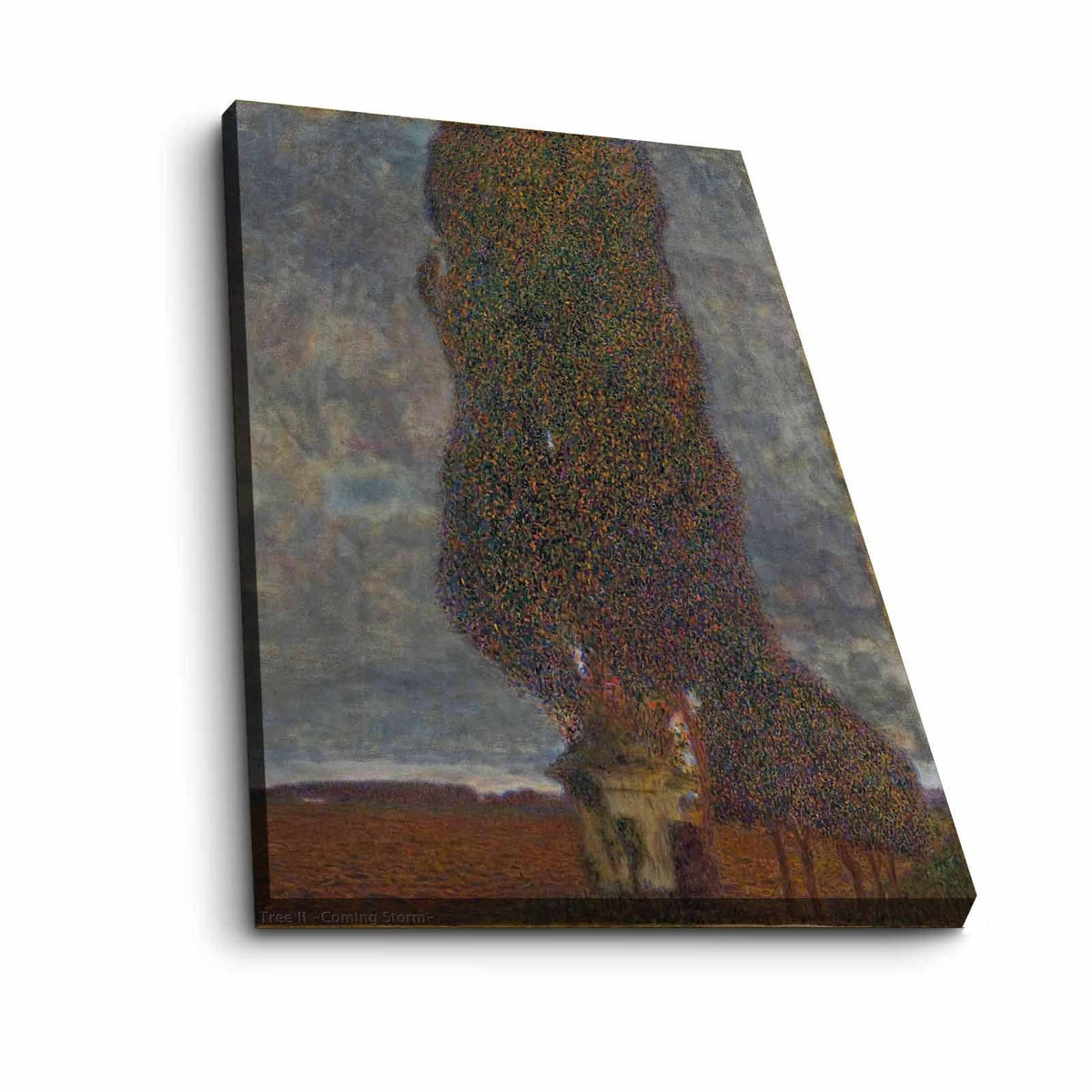 Tablou Canvas 4570KLIMT002, Multicolor, 70x45 cm, SKU 680GST1120