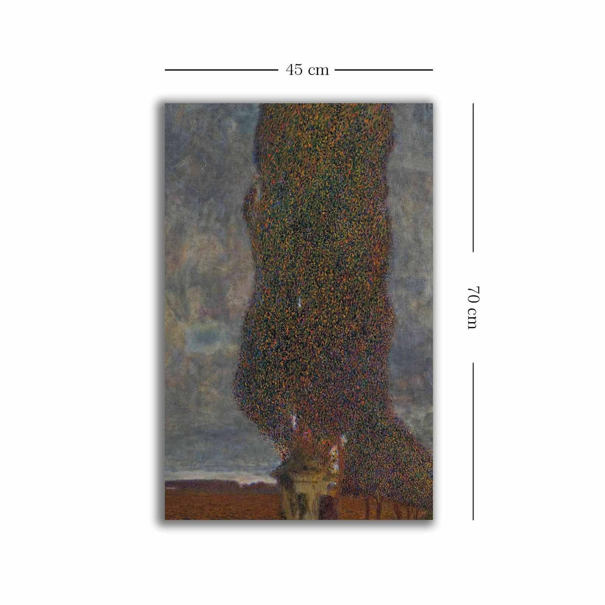 Tablou Canvas 4570KLIMT002, Multicolor, 70x45 cm, SKU 680GST1120