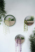 Decorațiune de perete din metal Shrubby St. Johnswort, Verde - Alb, 30x30x5 cm, SKU 694GNP1125, imagine 1