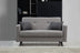 Gri deschis | SKU: 730MST1105 | Canapea extensibilă Polya, 2 locuri, 151x75x86 cm, varianta Gri deschis, produs pentru amenajarea locuinței, disponibil online în România la CasaMob