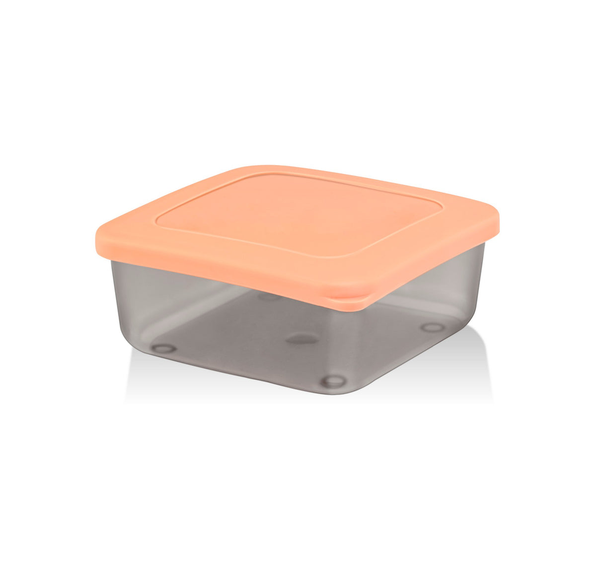 Set recipiente pentru depozitare 4 bucăți SC-4290, Antracit - Verde - Portocaliu - Crem, 10x10x10 cm