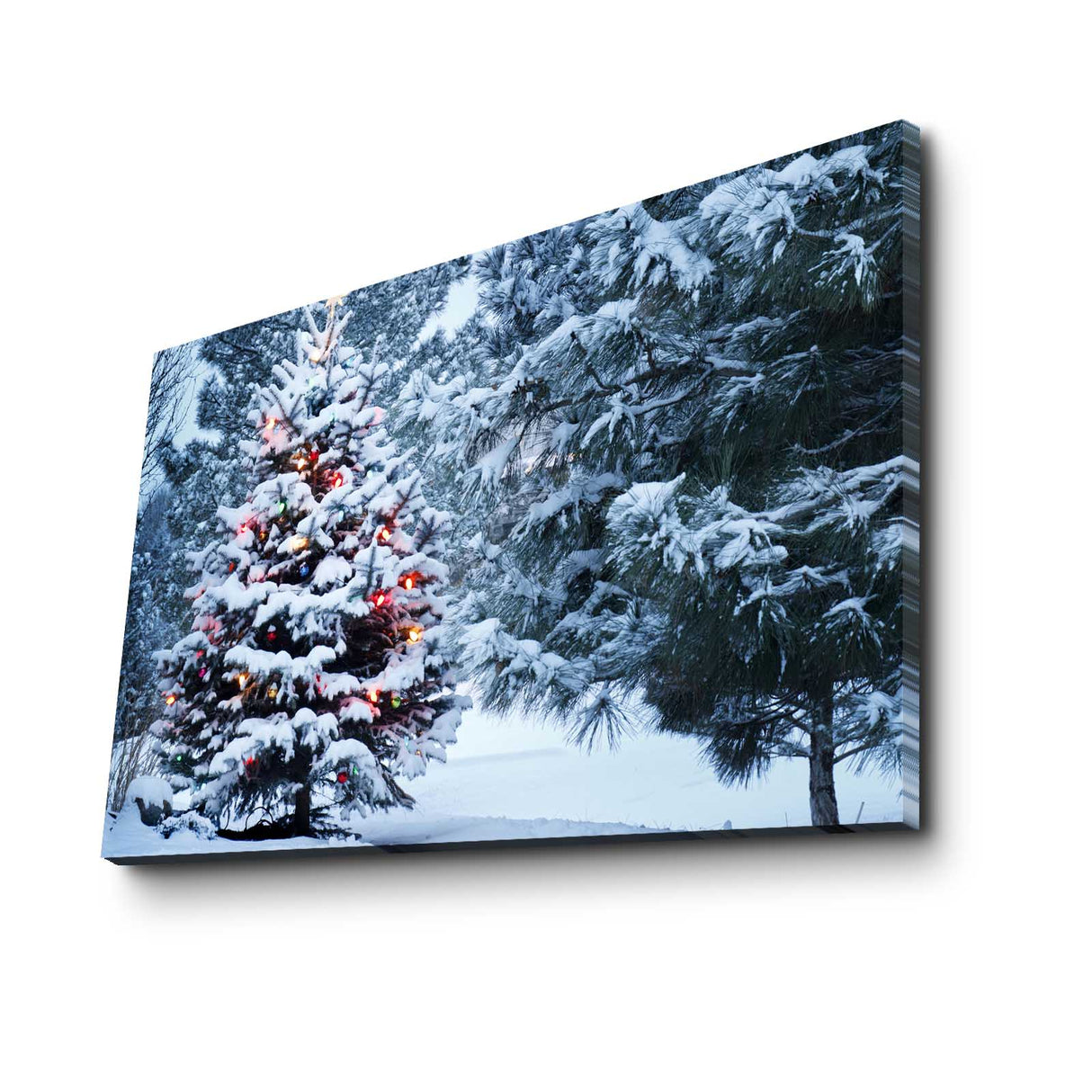 Tablou canvas 4570YYC-009, Multicolor, 45x70x3 cm