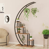 Bibliotecă Garden, Pin atlantic - Negru, 85x35x180 cm
