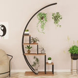 Bibliotecă Garden, Pin atlantic - Negru, 85x35x180 cm