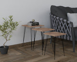 Set 3 măsuțe de cafea Mali, Diverse culori, Diverse dimensiuni - Negru - Pin atlantic - 40x40x55 cm | SKU: 835PUQ6254 | Set 3 măsuțe de cafea Mali, varianta Negru - Pin atlantic - 40x40x55 cm, produs pentru amenajarea locuinței, disponibil online în România la CasaMob