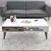 Alb | SKU: 845HCT5362 | Măsuță de cafea Valensiya, 105x60x35 cm, varianta Alb, produs pentru amenajarea locuinței, disponibil online în România la CasaMob