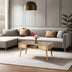 Măsuță de cafea Broadway, Pin atlantic, 97x55x45 cm, SKU 854KLN4714, imagine 1
