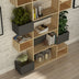 Bibliotecă Niho, Stejar - Antracit, 120x27x171 cm, SKU 855DTE3722, imagine 2