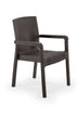 Maro închis | SKU: 947BZG1103 | Scaun Exterior Rattan Royal, 55x58x87 cm, varianta Maro închis, produs pentru amenajarea locuinței, disponibil online în România la CasaMob