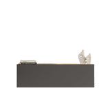 COMODA TV WL10-A, Stejar, 100x31.6x29.1 cm