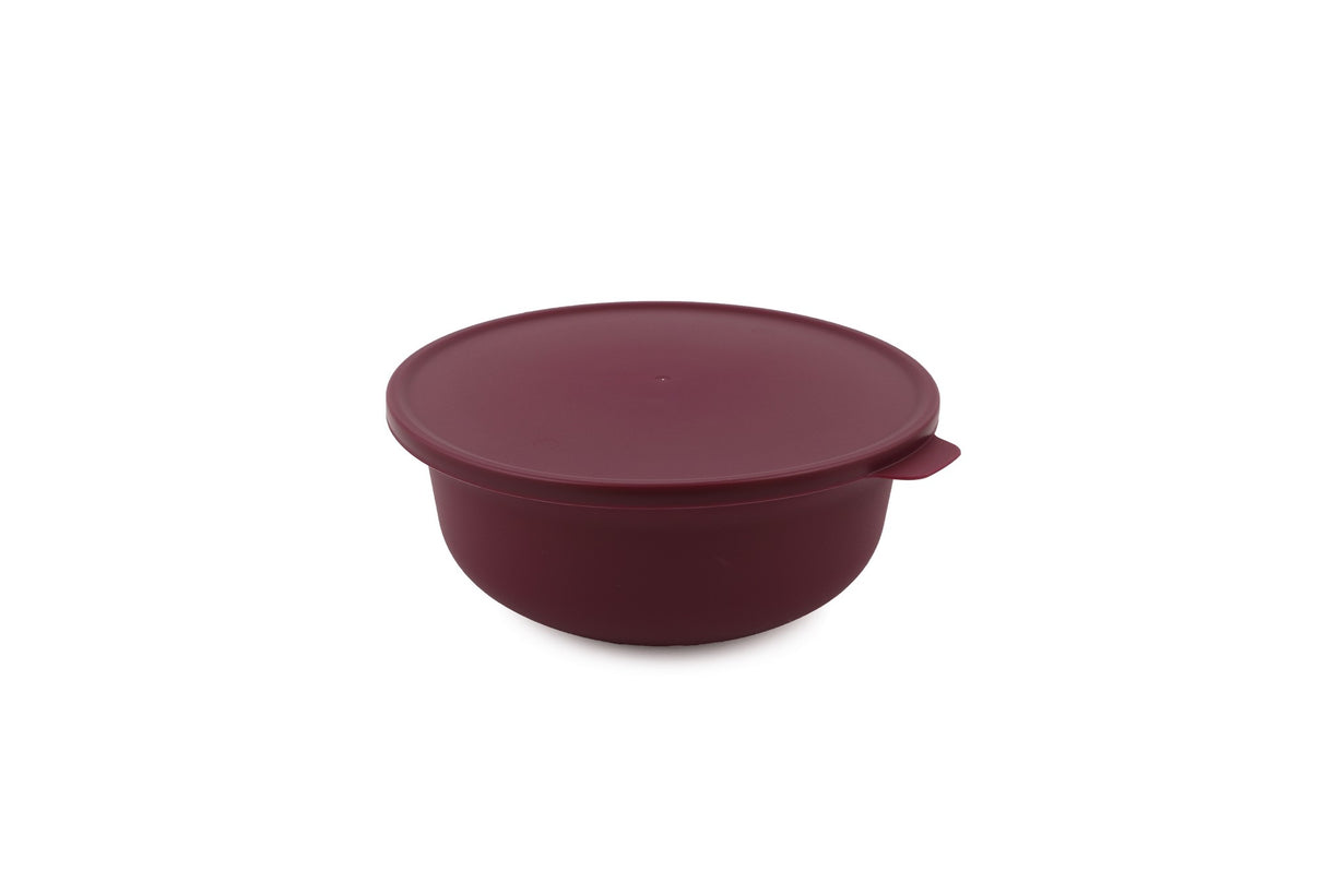 Set recipiente pentru depozitare 4 bucăți YUVPUR04-1248, Mov, 28x28x13 cm