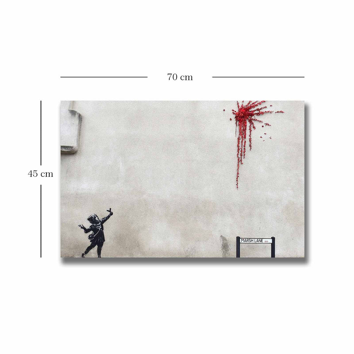 Tablou canvas 4570BANKSY004, Multicolor, 45x70x3 cm