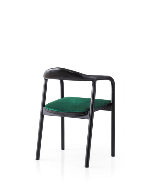 Scaun Palm - 032, Negru - Verde, 52x51x77 cm
