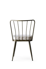 Set 2 scaune Yıldız - 985 V2, Mink, 43x42x82 cm