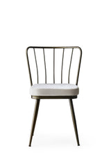 Set 4 scaune Yıldız - 985 V4, Mink, 43x42x82 cm