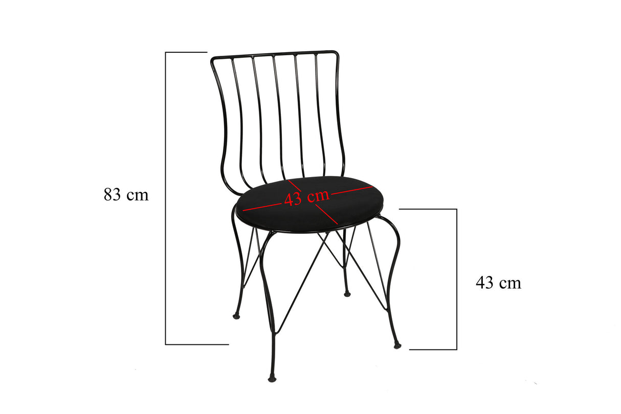 Set 2 scaune Lale 172, Negru, 44x44x84 cm