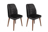 Set scaune (2 bucăți) Dallas Chair Set (2 Pieces), Bej, 50x90x49 cm - Maro antracit, SKU 974NMB1653