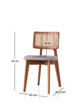 Scaun Punto - 4451, Stejar - Gri deschis, 43x47x80 cm