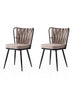 Set 2 scaune Kuşaklı - 222 V2, Negru - Mink, 43x43x82 cm, SKU 974NMB1899, imagine 1