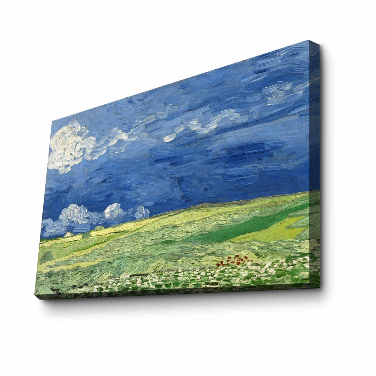 Tablou Canvas Natura, Multicolor, 70 x 45 cm