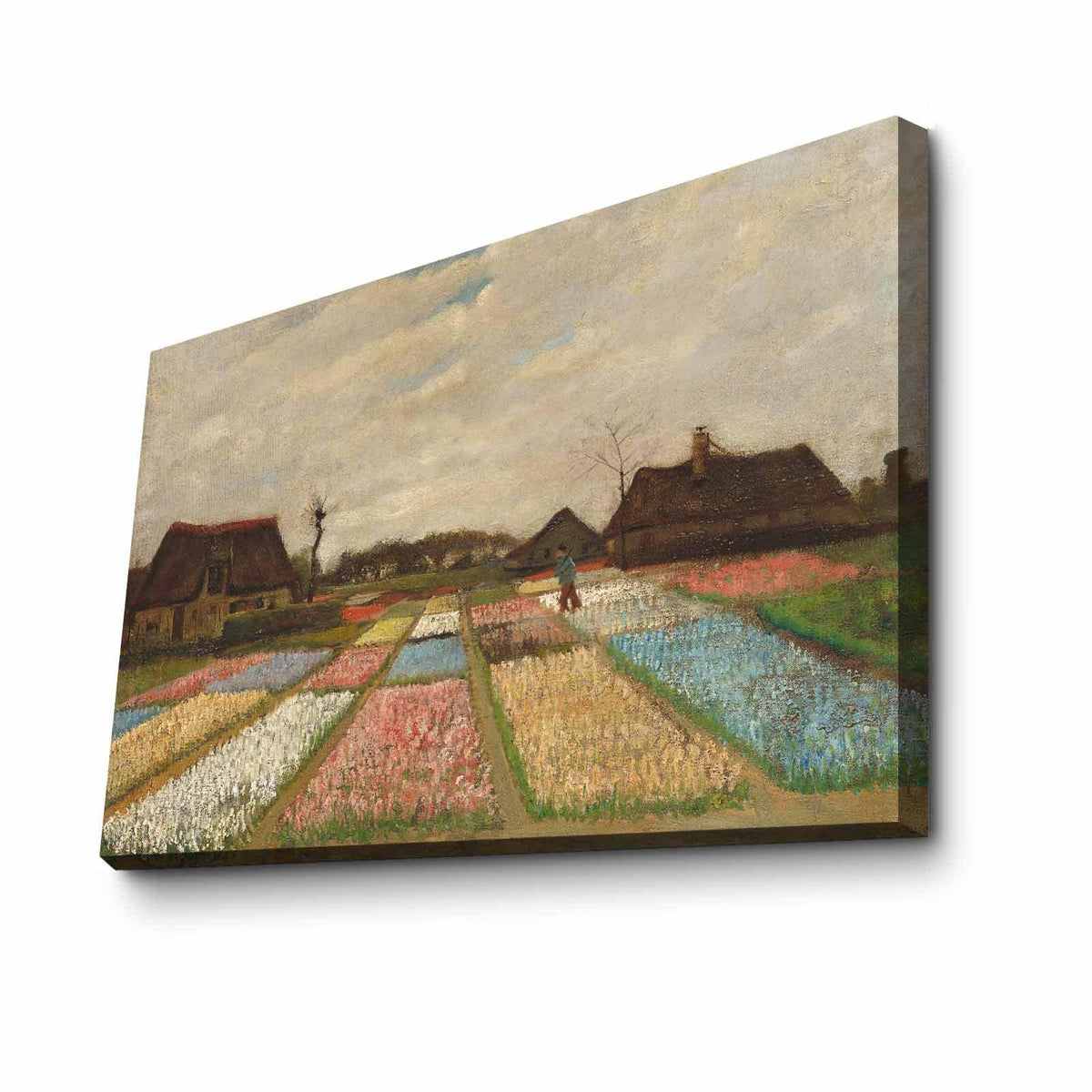 Tablou Canvas Gradina Lalele, Multicolor, 70 x 45 cm, SKU 978VNC1171