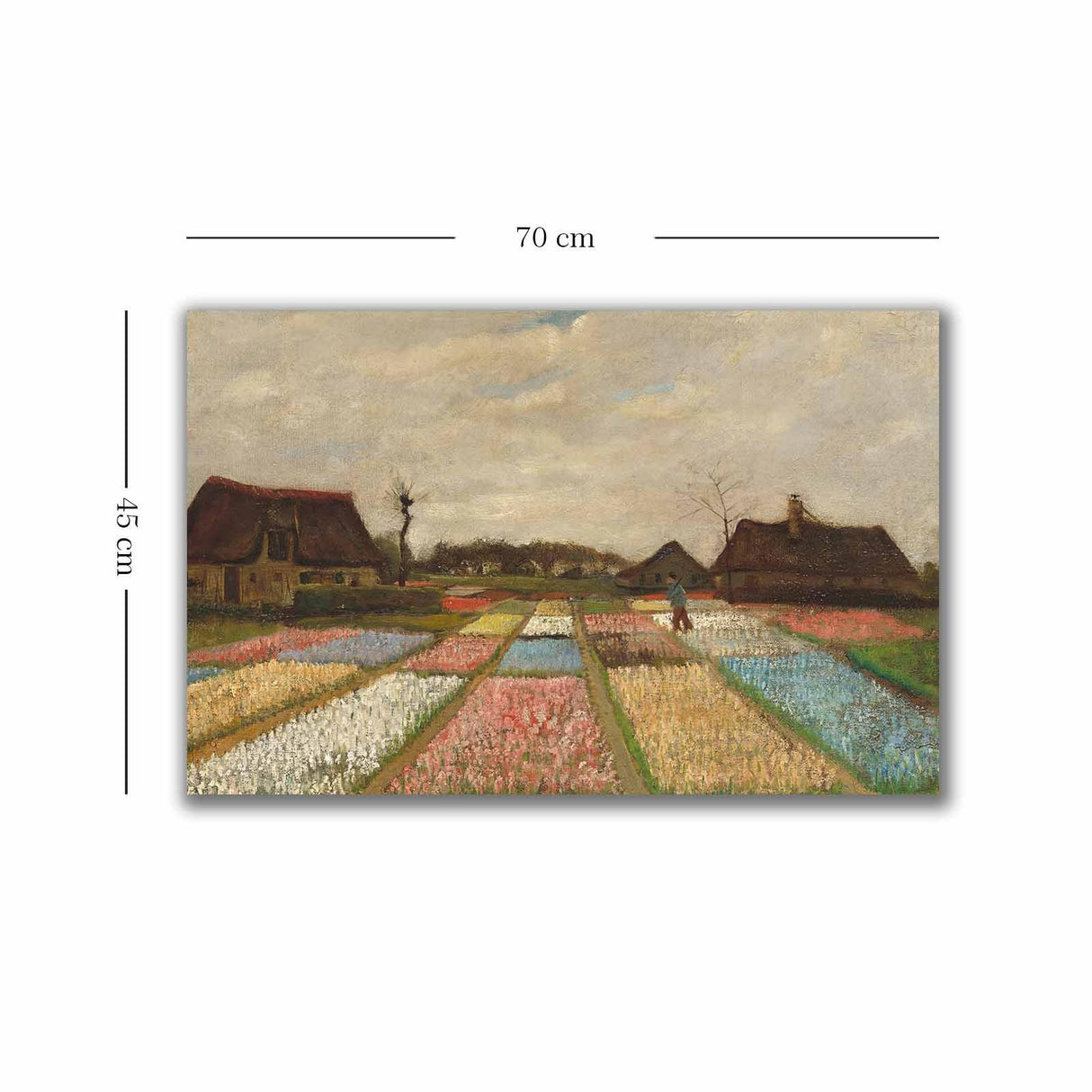 Tablou Canvas Gradina Lalele, Multicolor, 70 x 45 cm