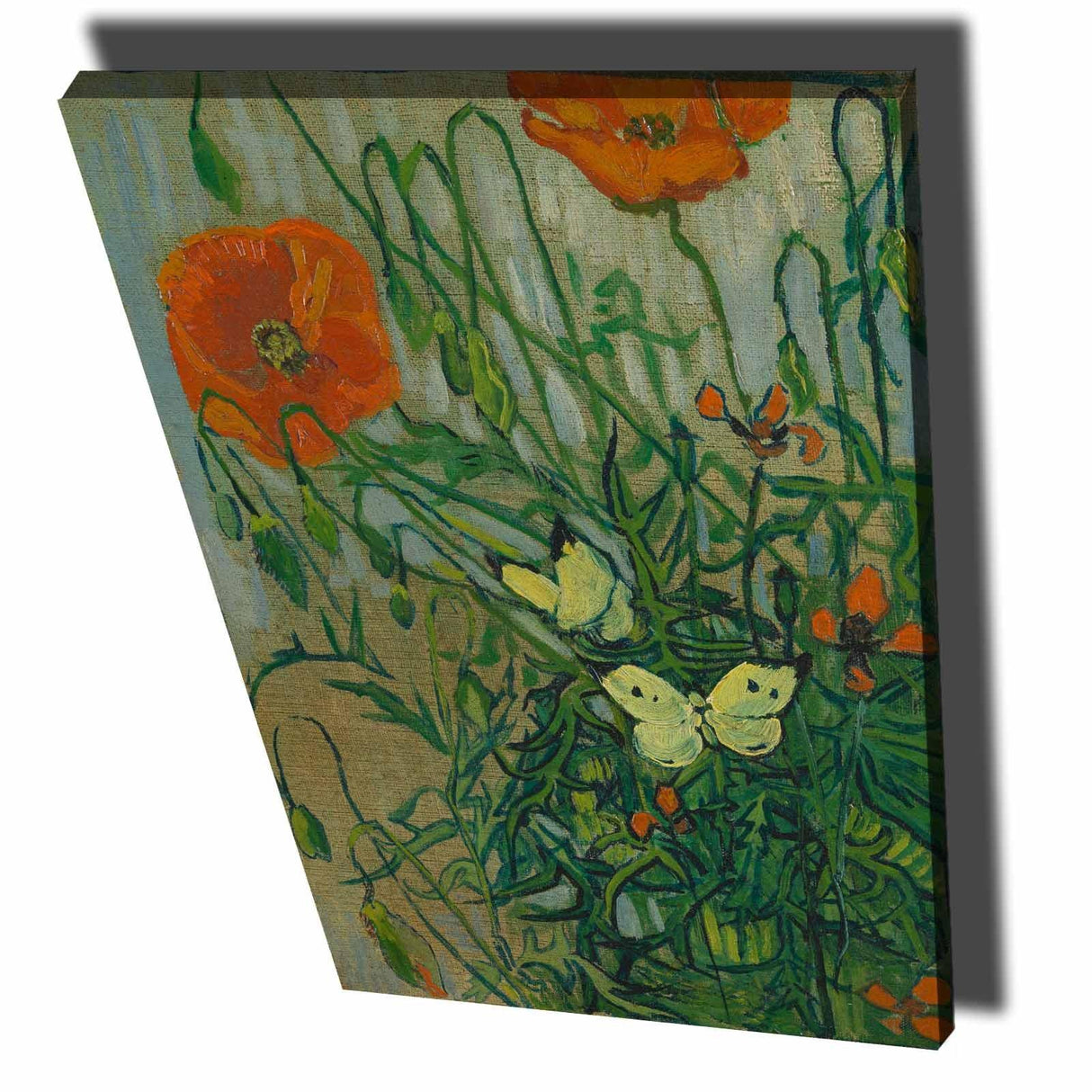 Tablou Canvas Fluturi, Verde, 100 x 70 cm