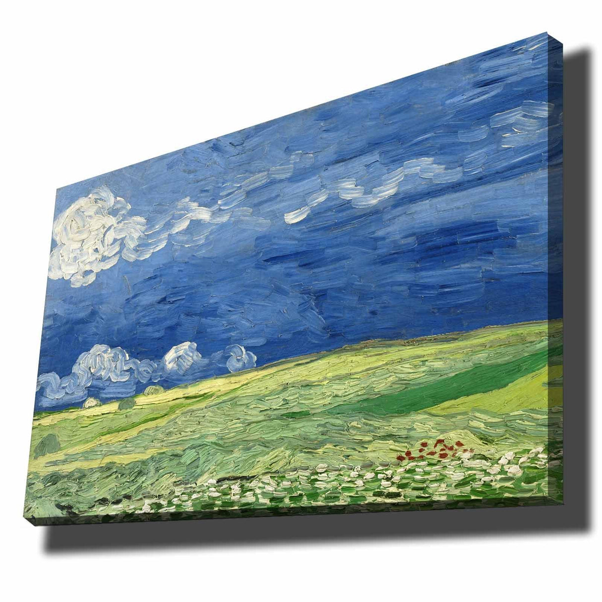 Tablou Canvas Natura, Multicolor, 100 x 70 cm