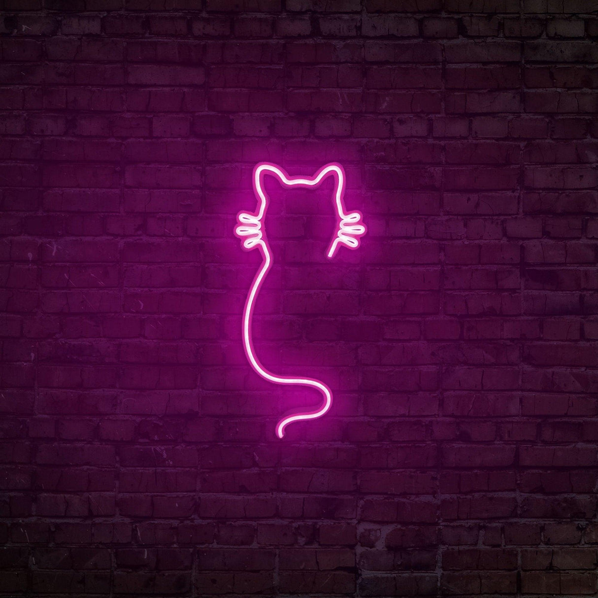 Aplica de Perete Neon Cat, 22x48 cm - Roz