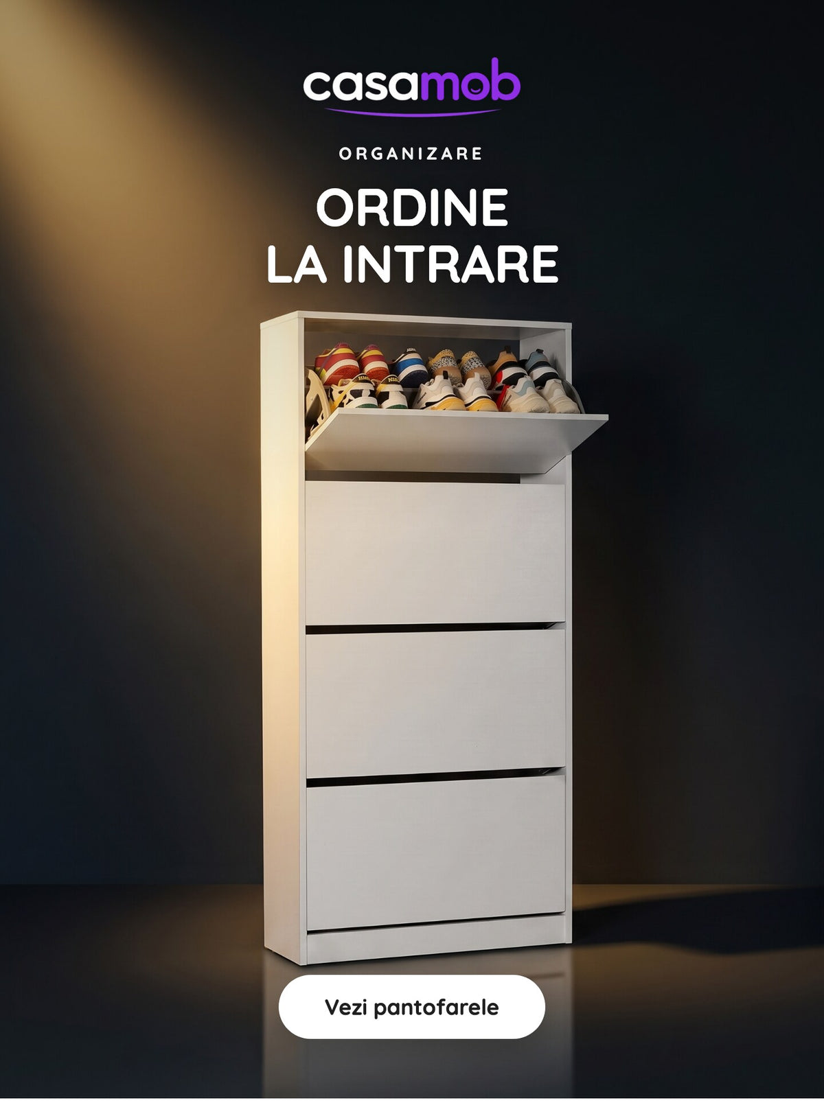 Ordine la intrare · Pantofare