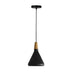 Lustra Jedren metal, negru, 18x18x100 cm
