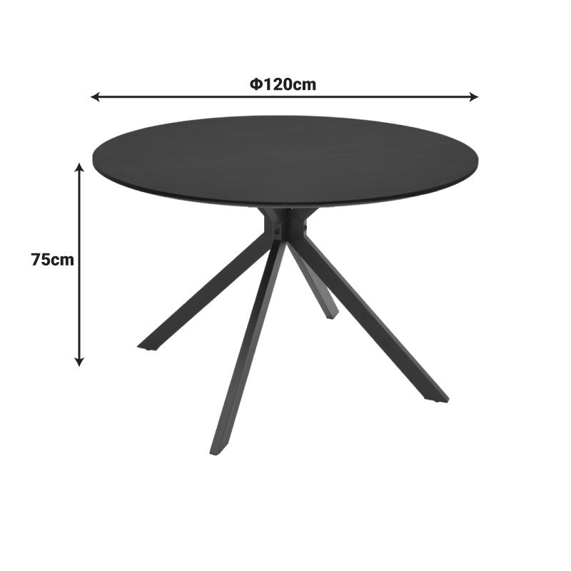 Masă de sufragerie Xuson, Metal, Negru, D120x75 cm