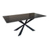 Masă de sufragerie cu blat din piatra sinterizata model Mattias, structura metalica, Alb - Negru, 180x90x75 cm