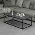 Masuta de Cafea Tiger - Anthracite, Gri, 120x42x60 cm