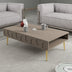 Mobilier Lyon 33, 105x60 cm