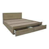 Pat Olympus cu sertar, Diverse culori, 160x200 cm - Stejar