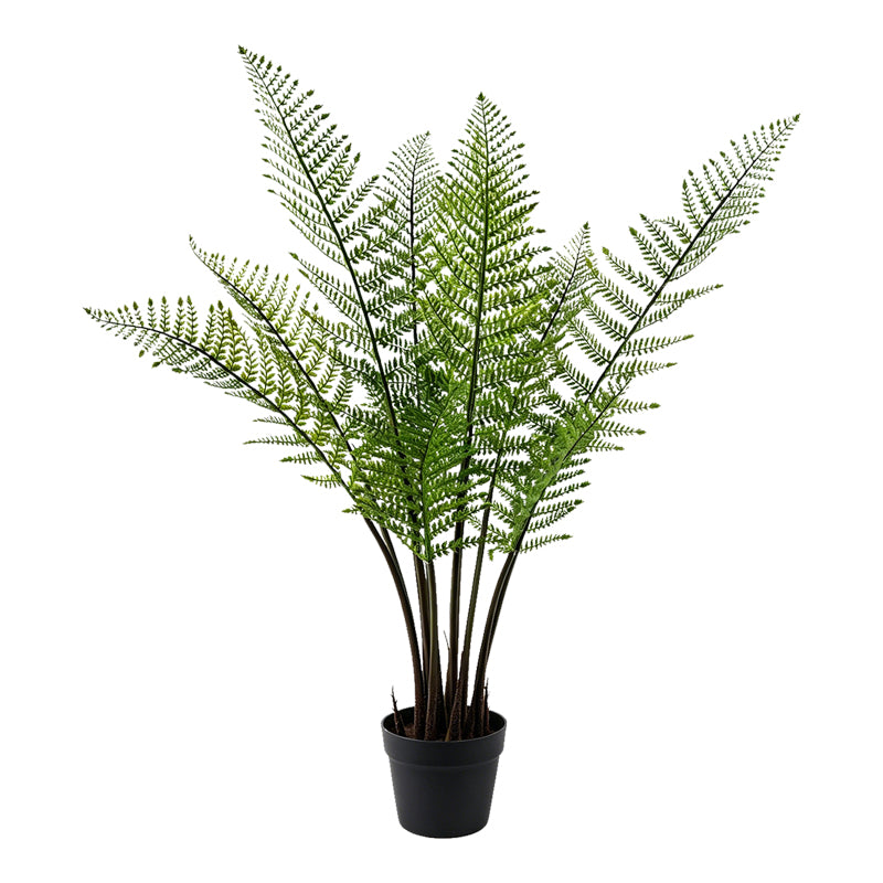Verde | SKU: 391-000031 | Plantă artificială în ghiveci Ferna, Verde, 62x50x90 cm, varianta Verde, produs pentru amenajarea locuinței, disponibil online în România la CasaMob