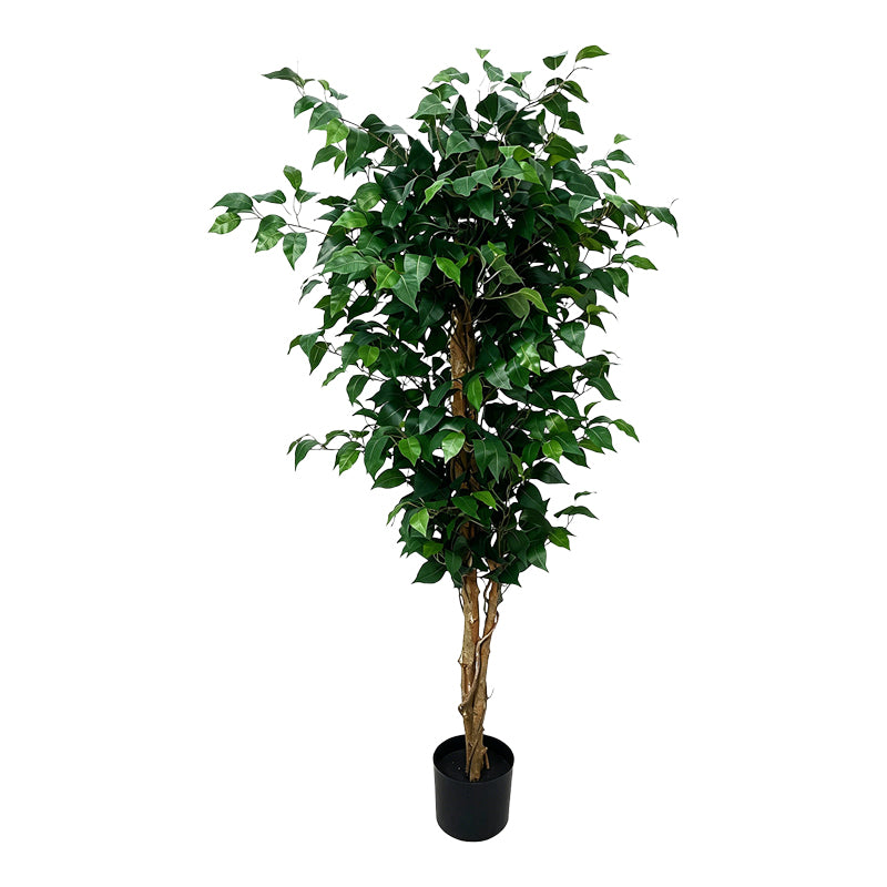 Verde | SKU: 391-000033 | Plantă artificială în ghiveci Fikonel, Verde, 60x60x150 cm, varianta Verde, produs pentru amenajarea locuinței, disponibil online în România la CasaMob