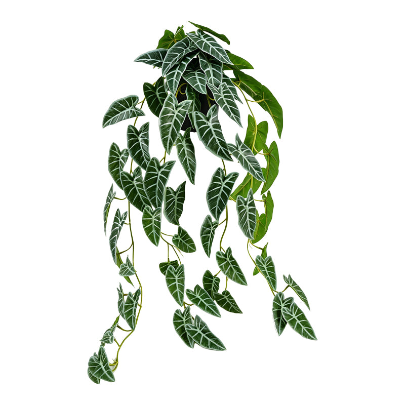 Verde | SKU: 391-000035 | Plantă artificială suspendată Ancor, Verde, 30x22x70 cm, varianta Verde, produs pentru amenajarea locuinței, disponibil online în România la CasaMob