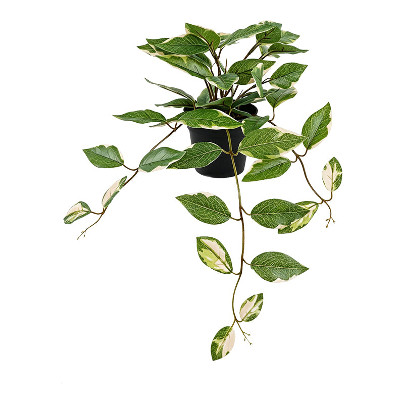 Verde | SKU: 391-000036 | Plantă artificială suspendată Hogia, Verde, 30x25x40 cm, varianta Verde, produs pentru amenajarea locuinței, disponibil online în România la CasaMob
