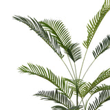 Planta decorativa Areca IIIghiveci, verde, H180cm