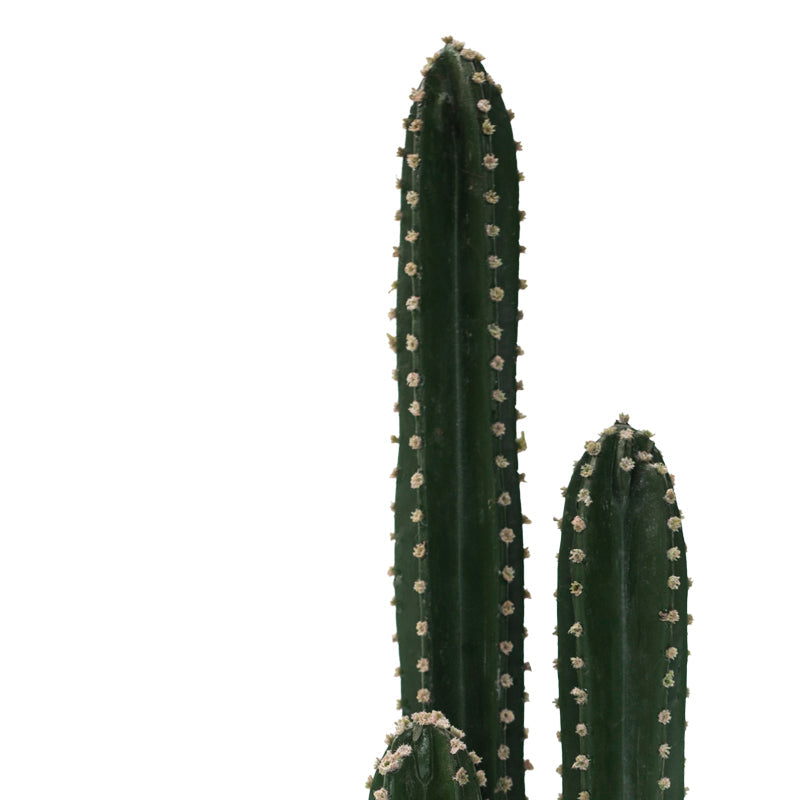 Planta decorativa Cactus IIIghiveci, verde, H85cm