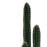 Planta decorativa Cactus IIIghiveci, verde, H85cm