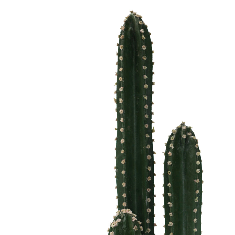Planta decorativa Cactus IIIghiveci, verde, H85cm, imagine suplimentara
