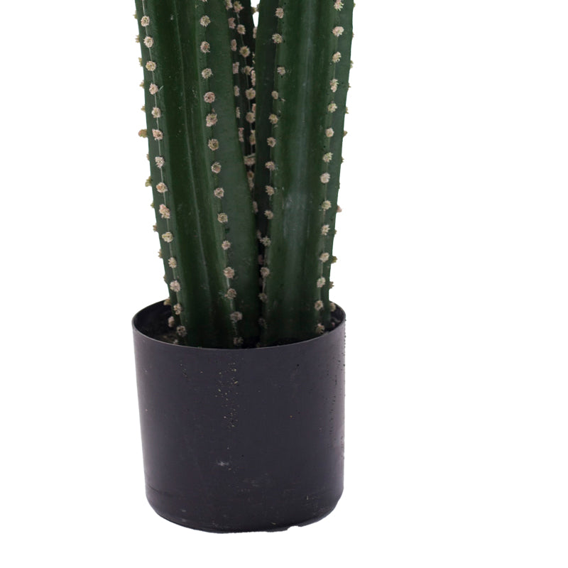 Planta decorativa Cactus IIIghiveci, verde, H85cm, detaliu produs