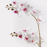 Planta decorativă cu floare orhidee White, Plastic, 36x17x65 cm