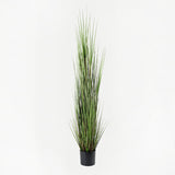 Plantă decorativă cu funcție de ornament Boxwood, Sintetic, Negru, 46x150 cm