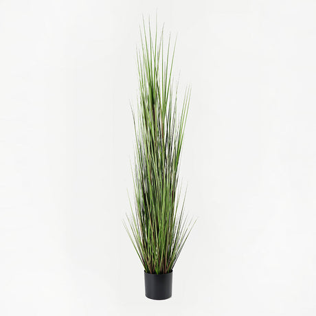 Plantă decorativă cu funcție de ornament Boxwood, Sintetic, Negru, 46x150 cm