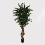 Planta decorativă cu ghiveci Banyan, Sintetic, Verde, 95x180 cm
